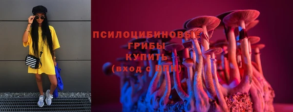 круглые Аркадак