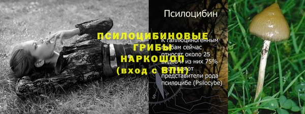 круглые Аркадак