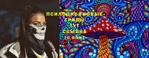 круглые Аркадак